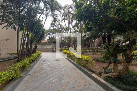 Área comum de apartamento à venda com 2 quartos, 50m² em Jardim Andarai, São Paulo