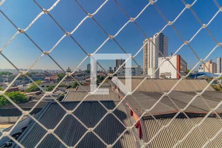 Apartamento para alugar com 1 quarto, 37m² em Vila Mascote, São Paulo
