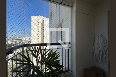 Varanda da Sala de apartamento para alugar com 3 quartos, 81m² em Vila Amélia, São Paulo