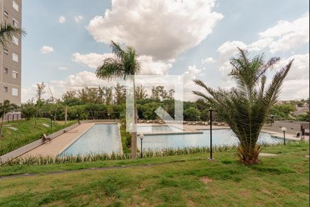 Área comum - Piscina de apartamento para alugar com 2 quartos, 66m² em Parque Prado, Campinas