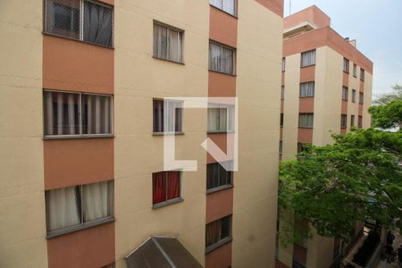 Vista do Quarto 1 de apartamento para alugar com 3 quartos, 57m² em Super Quadra Morumbi, São Paulo