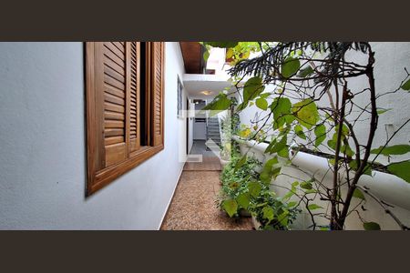 Quintal de casa à venda com 3 quartos, 145m² em Vila Vivaldi, São Bernardo do Campo