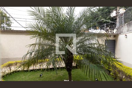 Vista do Quarto 1 de apartamento à venda com 2 quartos, 45m² em Vila Matilde, São Paulo