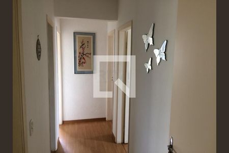 Apartamento à venda com 3 quartos, 91m² em Chácara da Barra, Campinas