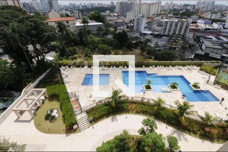 Área comum - Piscina de apartamento à venda com 2 quartos, 56m² em Jardim Olavo Bilac, São Bernardo do Campo