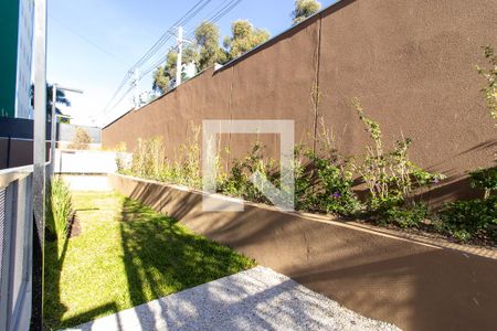 Área comum/Pet de apartamento para alugar com 1 quarto, 37m² em Botafogo, Campinas