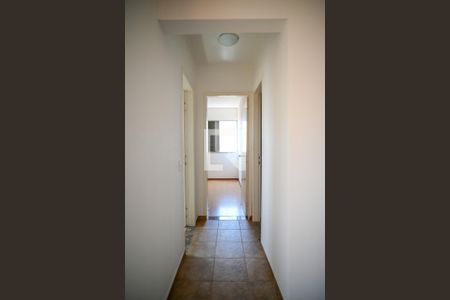 Corredor de apartamento para alugar com 2 quartos, 80m² em Vila Moinho Velho, São Paulo