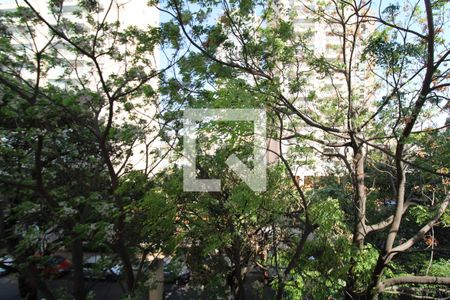 Sala - Varanda de apartamento para alugar com 2 quartos, 50m² em Jardim Pereira Leite, São Paulo