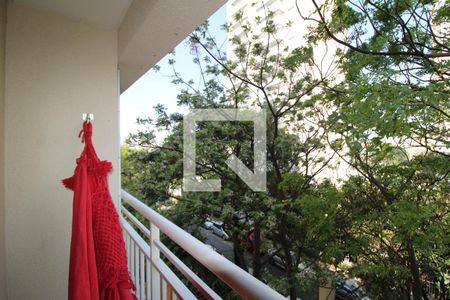 Sala - Varanda de apartamento para alugar com 2 quartos, 50m² em Jardim Pereira Leite, São Paulo