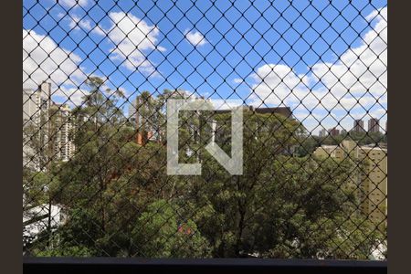 Vista da Varanda de apartamento à venda com 5 quartos, 272m² em Vila Andrade, São Paulo