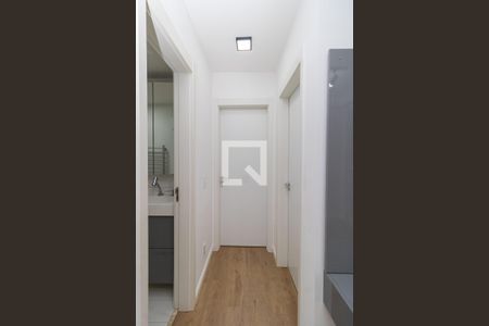 Corredor  de apartamento para alugar com 2 quartos, 60m² em Vila Mazzei, São Paulo