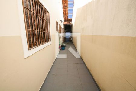 Quintal de casa para alugar com 2 quartos, 60m² em Vila Caiçara, Praia Grande