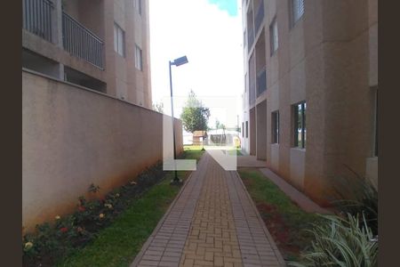 Área comum de apartamento para alugar com 2 quartos, 60m² em Jardim Dulce (Nova Veneza), Sumaré