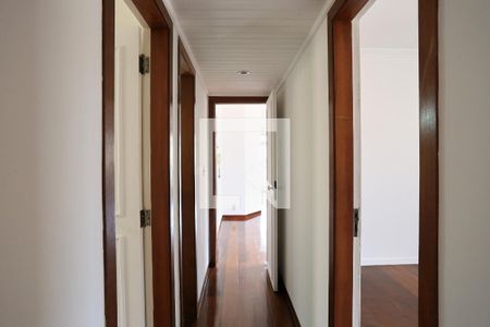 Corredor de apartamento para alugar com 3 quartos, 165m² em Serra, Belo Horizonte