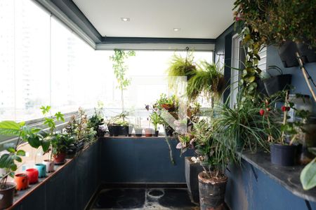 Varanda de apartamento à venda com 3 quartos, 74m² em Vila Bertioga, São Paulo