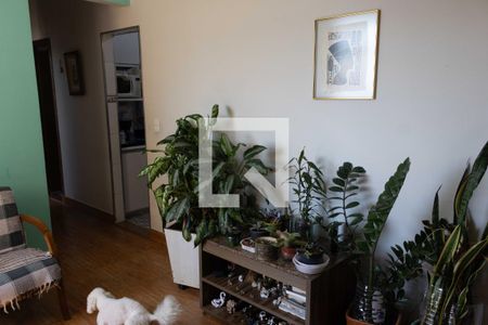 Sala de apartamento à venda com 3 quartos, 70m² em Nova Gameleira, Belo Horizonte