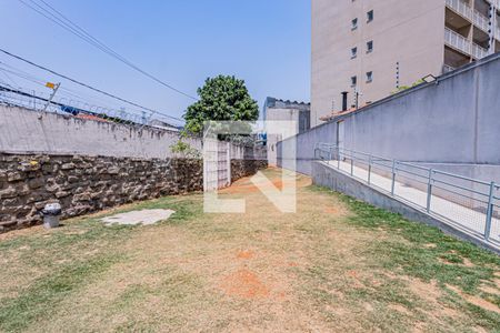 Pet place de apartamento para alugar com 1 quarto, 38m² em Vila Palmeiras, São Paulo