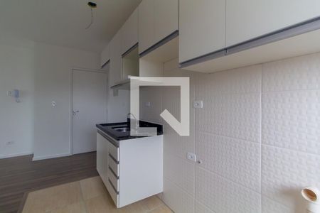 Cozinha de apartamento para alugar com 2 quartos, 45m² em Chácara Belenzinho, São Paulo