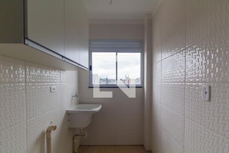 Área de Serviço de apartamento para alugar com 2 quartos, 45m² em Chácara Belenzinho, São Paulo