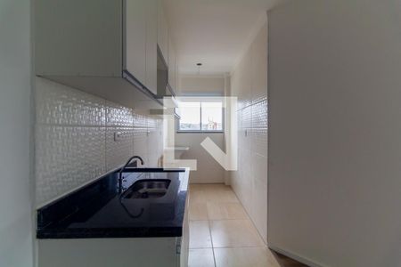 Cozinha de apartamento para alugar com 2 quartos, 45m² em Chácara Belenzinho, São Paulo
