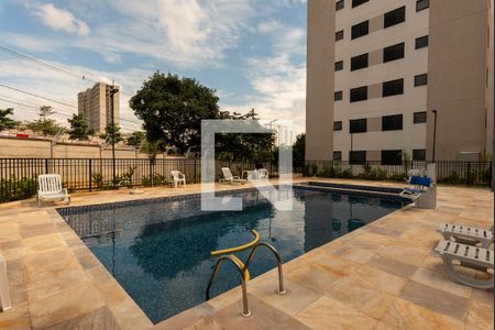 Área comum - Piscina de apartamento para alugar com 2 quartos, 42m² em Jardim Ibirapuera, Campinas