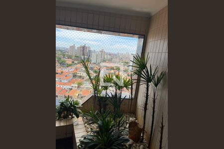 Jardim de apartamento para alugar com 4 quartos, 560m² em Bosque da Saúde, São Paulo