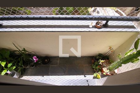 Varanda da Sala de apartamento para alugar com 3 quartos, 59m² em Vila Bela, São Paulo