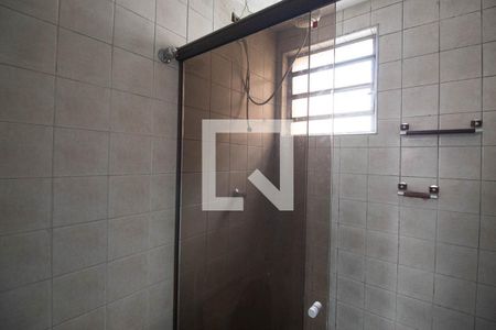 Banheiro de apartamento para alugar com 2 quartos, 50m² em Jardim Martins Silva, São Paulo