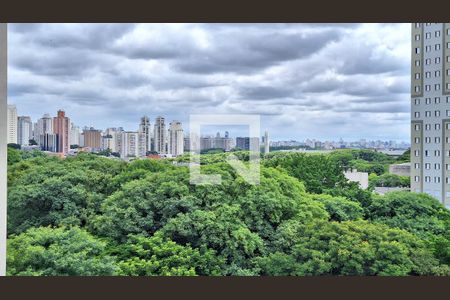 Vista Sala/Cozinha de apartamento para alugar com 1 quarto, 32m² em Parque Industrial Tomas Edson, São Paulo