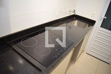 Cozinha de apartamento para alugar com 1 quarto, 55m² em Vila Ana Maria, Ribeirão Preto