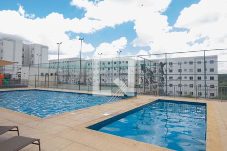 Área comum - Piscina de apartamento à venda com 2 quartos, 48m² em Perobas, Contagem