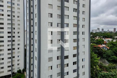 Vista da Sala de apartamento à venda com 3 quartos, 90m² em Vila Cruzeiro, São Paulo