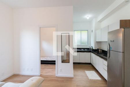 Sala/Cozinha de apartamento para alugar com 2 quartos, 51m² em Vila Butantã, São Paulo