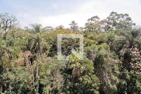 Vista Quarto 3 de apartamento à venda com 3 quartos, 72m² em Vila Carbone, São Paulo