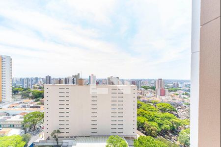 Vista da Varanda  de apartamento à venda com 3 quartos, 65m² em Vila Assunção, Santo André