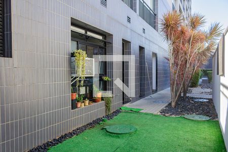 Área comum - Área Pet de kitnet/studio para alugar com 1 quarto, 33m² em Bom Retiro, São Paulo