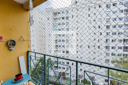 Varanda da Sala de apartamento para alugar com 3 quartos, 78m² em Vila Sofia, São Paulo