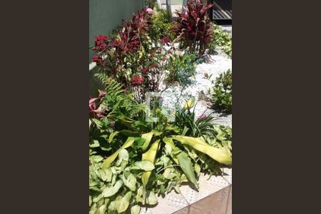 Casa à venda com 3 quartos, 210m² em Vila Progresso, Santo André