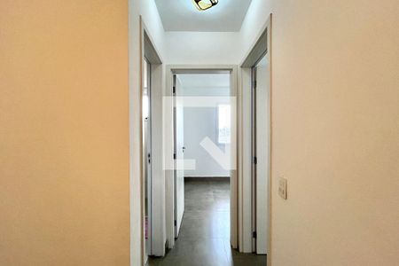 Corredor de apartamento à venda com 2 quartos, 55m² em Vila Santa Catarina, São Paulo