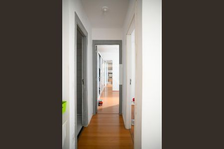 Corredor de apartamento para alugar com 2 quartos, 40m² em Jardim Santa Emilia, São Paulo