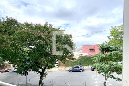 Vista da Suíte 2 de apartamento à venda com 2 quartos, 65m² em Serra, Belo Horizonte