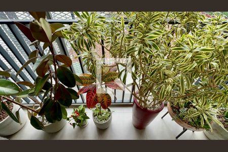 Sacada de kitnet/studio para alugar com 1 quarto, 24m² em Pinheiros, São Paulo