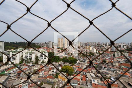 Vista do quarto 1 de apartamento para alugar com 3 quartos, 60m² em Parque Mandaqui, São Paulo