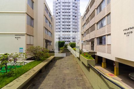 Acesso as torres de apartamento para alugar com 3 quartos, 100m² em Vila Sao Pedro, São Paulo