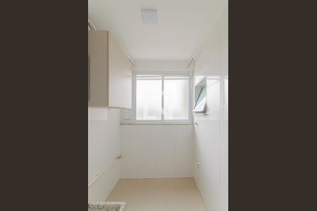 Área de Serviço de apartamento para alugar com 2 quartos, 53m² em Vila Carioca, São Paulo