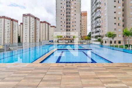 Área comum - Piscina de apartamento à venda com 3 quartos, 89m² em Vila Campestre, São Paulo