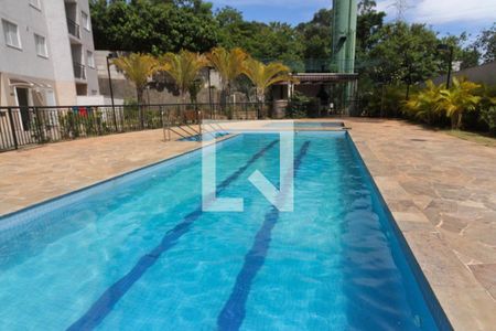 Área comum - Piscina de apartamento à venda com 2 quartos, 53m² em Jardim Iris, São Paulo