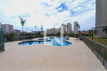 Área comum - Piscina de apartamento para alugar com 1 quarto, 45m² em Residencial Villa Garden, Campinas