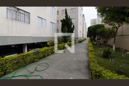Área comum de apartamento à venda com 2 quartos, 58m² em Jardim Ponte Rasa, São Paulo