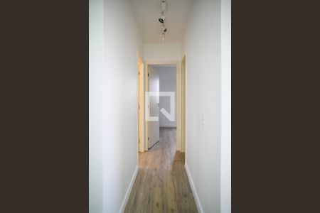 Corredor de apartamento à venda com 2 quartos, 50m² em Vila Água Funda, São Paulo